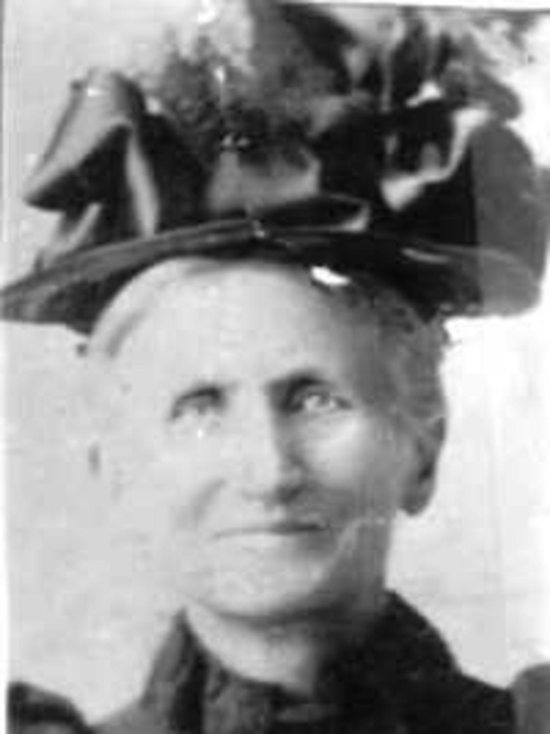 Mary Eliza Shurtliff (1832 - 1914) Profile